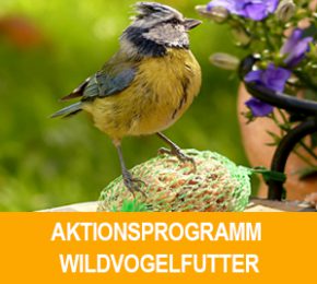 aktions_pro