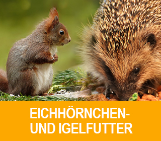 eichhoernchen-pro