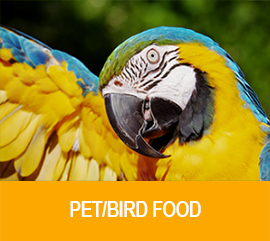 petbird_en