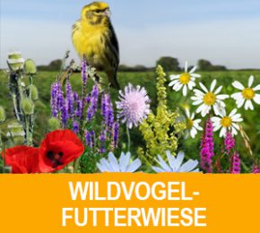 wildvogelfutterwiese_pro