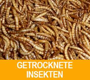 insekten_de